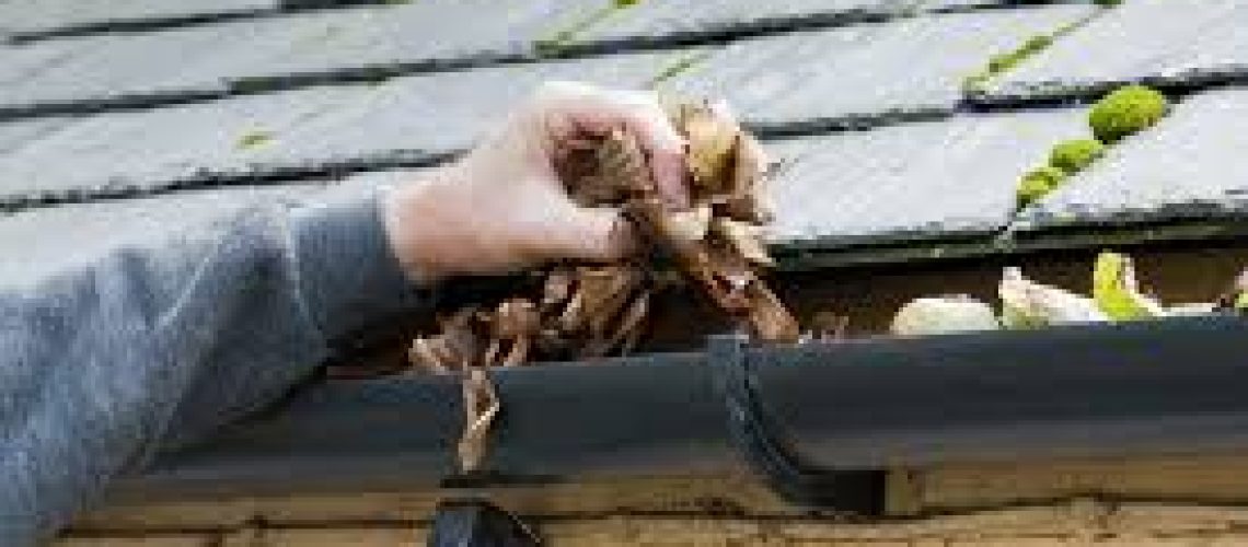 Tips for Roof